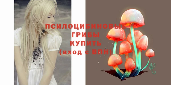 мдпв Белокуриха