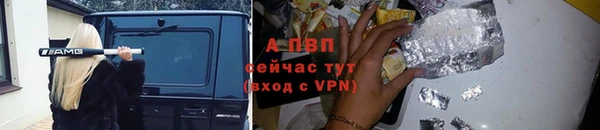 тгк Беломорск