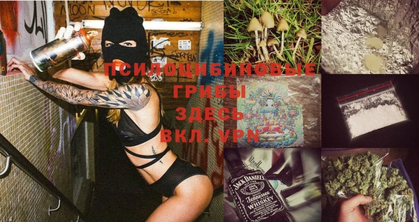 мдпв Белокуриха