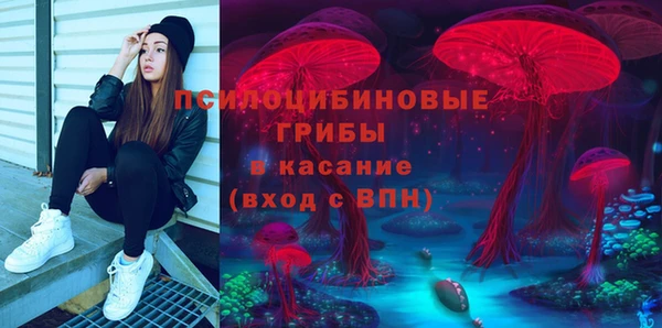мдпв Белокуриха