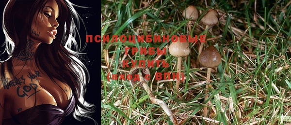 MDMA Белоозёрский